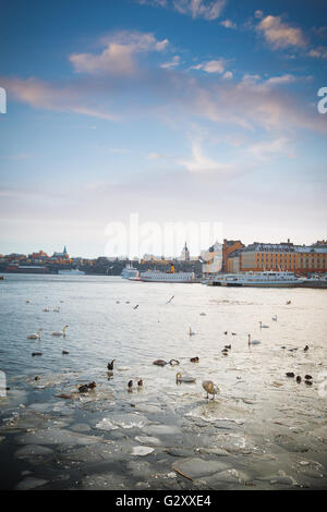 Ein Blick auf Stockholms Gamla Stan Region aus über den gefrorenen Fluss im Winter. Stockfoto