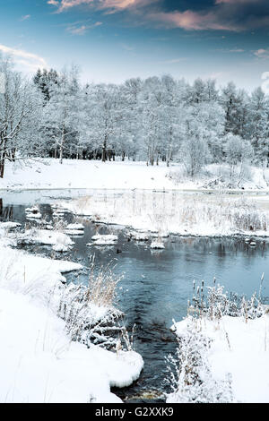 Fluss fließt durch den Winterwald. schöne Landschaft Stockfoto