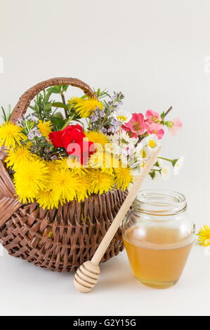 Blumenkorb machte der Flechtweide vor weißem Hintergrund Stockfoto