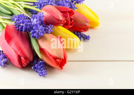 Rote und gelbe Tulpen mit Hyazinthe Frühlingsblumen Stockfoto