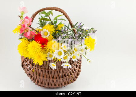 Blumenkorb machte der Flechtweide vor weißem Hintergrund Stockfoto