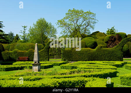 Die formalen Gärten des Ayscoughfee Hall, Spalding, Lincolnshire, England UK Stockfoto