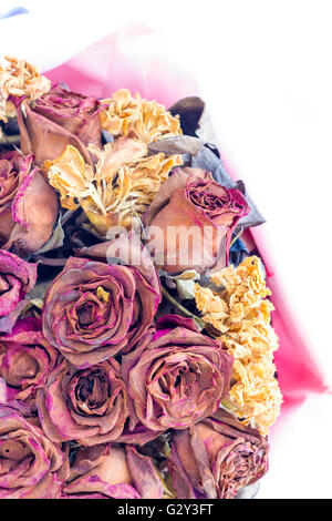 trockenen Rosen Stockfoto