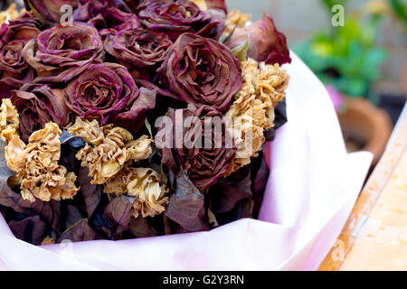 trockenen Rosen Stockfoto