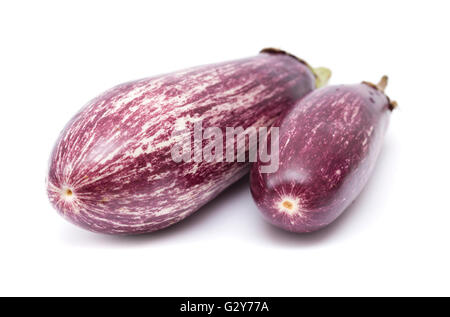 gestreifte violett und weiß Aubergine isoliert auf weißem Hintergrund Stockfoto