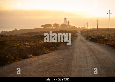 Piedras Blancas leichte Station, San Simeon, Kalifornien, USA Stockfoto