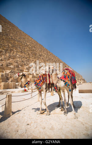 Pyramiden der Pharaonen in Gizeh. Kairo, Ägypten Stockfoto