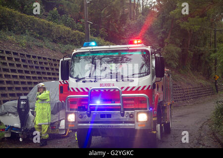 Sydney, Australien. 5. Juni 2016. Sydney und dem Rest der NSW weiterhin mit intensiven Regen und starkem Wind angeschnallt, Feuerwehr kümmert sich um umgestürzte Bäume in Avalon Beach. Bildnachweis: model10/Alamy Live-Nachrichten Stockfoto