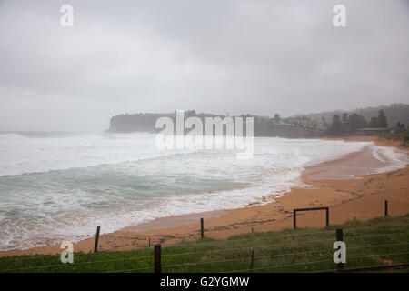 Sydney, Australien. 5. Juni 2016. Sydney und dem Rest der NSW weiterhin mit intensiven Regen und starkem Wind, Seegang angeschnallt werden bis zu 5m dürften auch hier im Avalon Beach in North Sydney. Bildnachweis: model10/Alamy Live-Nachrichten Stockfoto