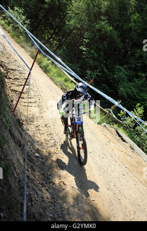 Fort William, Großbritannien. 5. Juni 2016. Adam Brayton GBR auf dem Platz für den Downhill Mountainbike-Weltcup in Fort William, Schottland am 5. Juni 2016. Bildnachweis: Malcolm Gallone/Alamy Live-Nachrichten Stockfoto