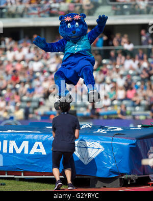 Alexander-Stadion, Birmingham, UK. 5. Juni 2016. IAAF Diamond League Birmingham. Die britischen Leichtathletik-Maskottchen "BritBear" macht einen Sprung auf den Hochsprung Bett zwischen Ereignissen. © Aktion Plus Sport/Alamy Live-Nachrichten Stockfoto