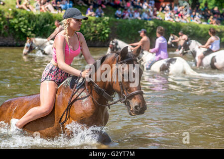 Appleby in Westmorland, Cumbria, UK. 5. Juni 2016. Eine junger Reisender Mädchen wäscht ihr Pferd in den Fluss Eden vor dem Verkauf es. Reisenden sammeln von ganz über dem Land in einem traditionellen Pferd fair, die Hunderte von Jahren zurück reicht. © Robert Smith/Alamy Stockfoto