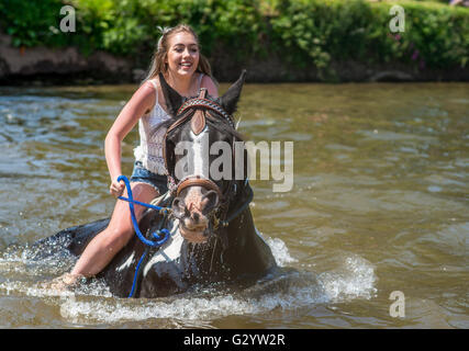 Appleby in Westmorland, Cumbria, UK. 5. Juni 2016. Eine junger Reisender Mädchen reitet ihr Pferd in den Fluss Eden vor dem Verkauf es in einem traditionellen Pferdemesse in Appleby seit über zweihundert Jahren statt. © Robert Smith/Alamy Stockfoto