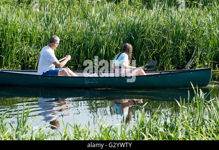 Market Deeping, Lincolnshire, Großbritannien. 05. Juni 2016. Tierwelt Natur und Fluss watchers genießen die warmen Wetter, nach Tagen der trüben und regnerischen Tagen, Blumen und Bäume in Blüte am Rand angekommen. Credit: Clifford Norton/Alamy leben Nachrichten Stockfoto