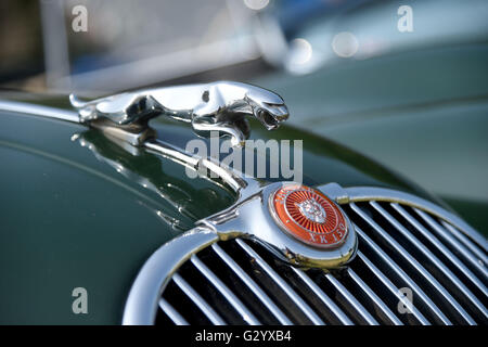 Jaguar XK 150 Kühlerfigur. Die Hardy Land Oldtimer Tour Stockfoto