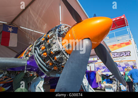 Nevada, Reno Air Races, unbegrenzte Air Racer "Rare Bear" F8F-2 Bearcat, Maschine detail Stockfoto