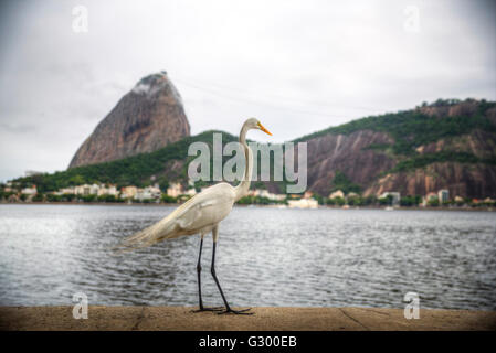 Copacabana. brasilianischen Strand in Rio De Janeiro, Brasilien, Südamerika. Stockfoto