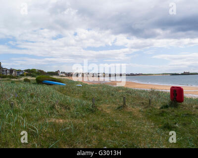 Blick entlang der langen, gekrümmten Sandstrand Elie am Firth of Forth Fife Schottland eine kleine attraktive schottischen Küstenstadt ein ehemaliger Royal Burgh Stockfoto