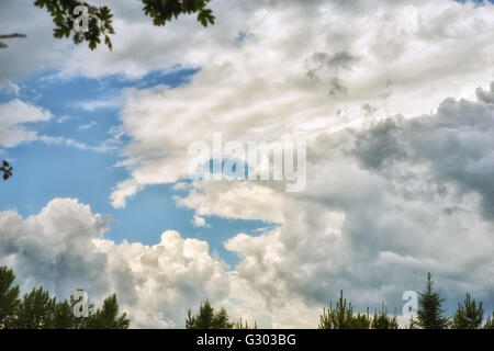 Der Himmel vor dem Sturm. Stockfoto