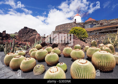 Kakteen Garten Jardin de Cactus von Cesar Manrique, Guatiza, Lanzarote, Kanarische Inseln, Spanien Stockfoto