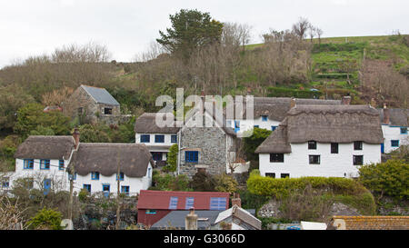 Mischung aus weißen Mauern Häuser in der alten Cornish Fischerdorf Dorf Cadgwith mit traditionellen strohgedeckten Dach Stockfoto