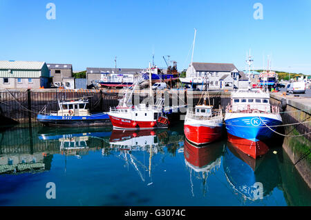 Trawler festgemacht am Hafen von Kilkeel, Nordirland Stockfoto