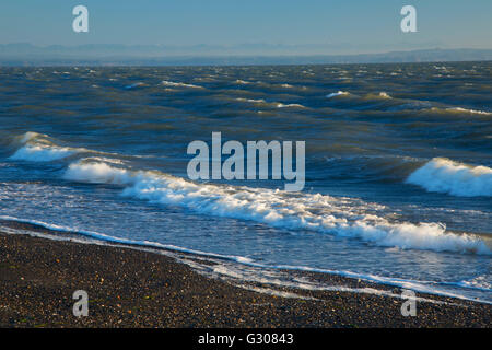 Strand, Damon Point State Park, Washington Stockfoto