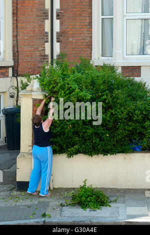 ältere Frauen trimmen Büsche vor Garten-uk Stockfoto