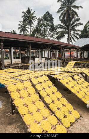 Krupuk (Kroepoek) trocknen in der Sonne, Bukittinggi, West-Sumatra, Indonesien, Südostasien, Asien Stockfoto