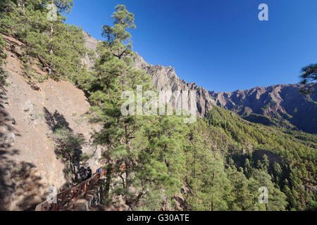 Caldera de Taburiente, Parque Nacional De La Caldera de Taburiente, UNESCO-Biosphärenreservat, La Palma, Kanarische Inseln Stockfoto