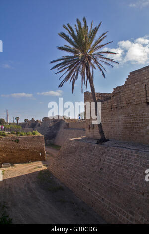 Alten Römer Wand ruiniert. Caesarea Maritima (griechisch: παράλιος Καισάρεια), genannt Caesarea Palaestina Stockfoto