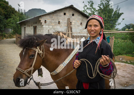 Red Dao Frau und ihr Pferd auf dem Hof der Ly Dai Duyen Guest House, Nam Dan, Ha Giang Province, Vietnam. Stockfoto