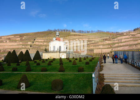 Belvedere auf Schloss Wackerbarth mit Weinbergen, Radebeul, Sachsen, Sachsen, Deutschland Stockfoto
