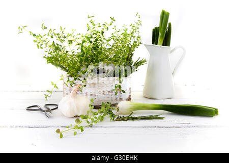 Frisch geschnittene Kräuter aus dem Garten (Rosmarin, Thymian, Petersilie, Knoblauch, Frühlingszwiebeln) in weiße Holzkiste auf Holz Küchentisch Stockfoto