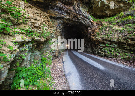 Der verwunschene Nada-Tunnel. Die 900 Fuß Nada Tunnel in der Red River Gorge in Kentucky. Stockfoto