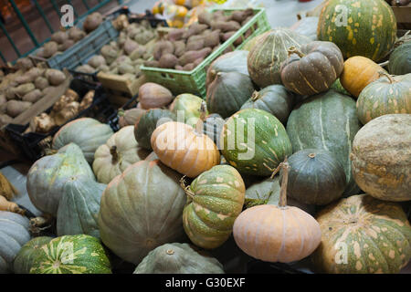 Verschiedene Sorten von Kürbis und Süßkartoffeln auf dem display Stockfoto