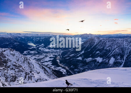 Blick vom Gipfel hoher Sarstein auf das Ausseerland mit den Grundlsee, Bad Aussee und Alpenkrähe (Pyrrhocorax Graculus), in der Stockfoto