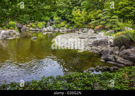 Koi-Teich im Hanahata Garden - Hanahata Garten ist ein japanischer Gemeinschaftsgarten in Adachi-Ku-Tokio. Stockfoto