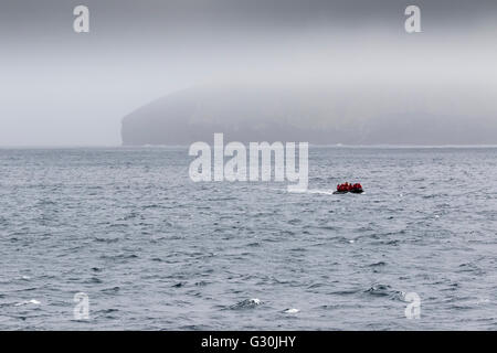 Zodiac zurückkehren zum Expeditionsschiff aus den subantarktischen Antipodes Island, Neuseeland Stockfoto