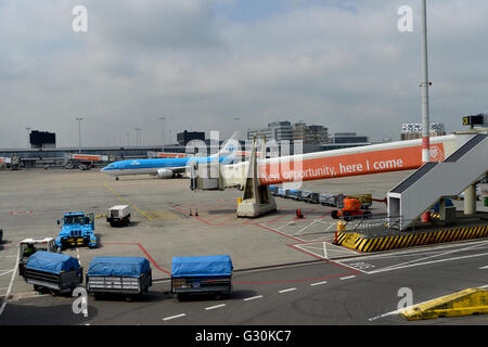 Der internationale Flughafen Schiphol Amsterdam Niederlande Stockfoto