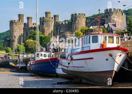 Conway Castle und Hafen am Fluss Conwy in Nordwales Clwyd. Stockfoto