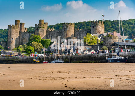 Conway Castle und Hafen am Fluss Conwy in Nordwales Clwyd. Stockfoto