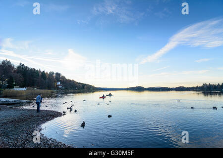 Staffelsee bei Sonnenuntergang mit Enten und Paddler, Deutschland, Bayern, Bayern, Oberbayern, Oberbayern, Murnau bin Staffelsee Stockfoto