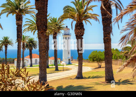 Palmen rund um den Leuchtturm Point Vicente Stockfoto