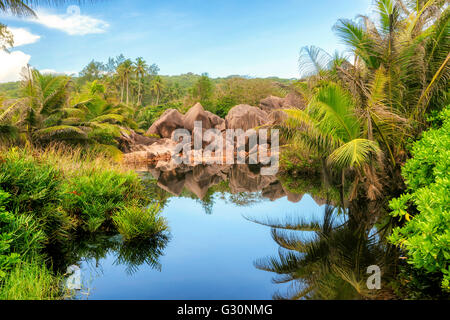 Felsen und Palmen spiegeln sich im tropischen See im Dschungel Stockfoto