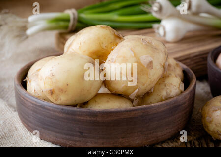 Rohe Bio-Kartoffeln und grünen Frühlingszwiebeln.  Gelbe Kartoffeln auf rustikalen Holztisch Stockfoto