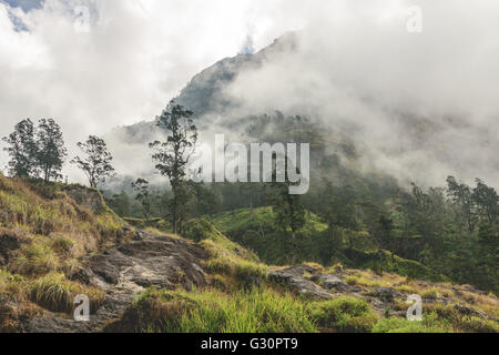 Landschaft aus dem Krater des Vulkans Rinjani Mt Stockfoto