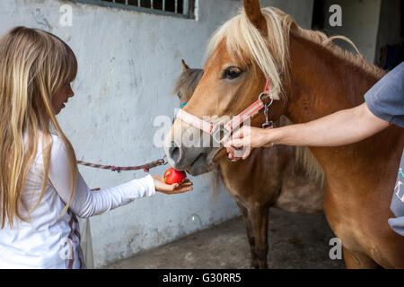 Kind ein Pferd einen Apfel pony Stockfoto