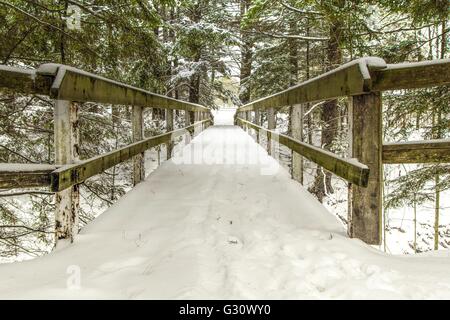 Winter-Wunderland. Schnee gedeckte Holzbrücke durch die Baumkronen des Winterwaldes. Stockfoto