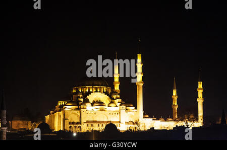 Istambul, Türkei - Februar 2015: Blick auf den Bosporus vom Galata-Turm in der Nacht. Stockfoto
